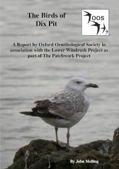 Report cover