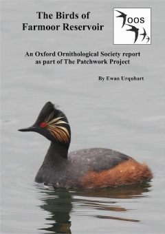 Report cover