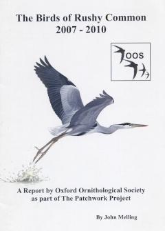 Report cover