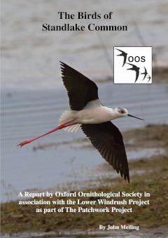 Report cover