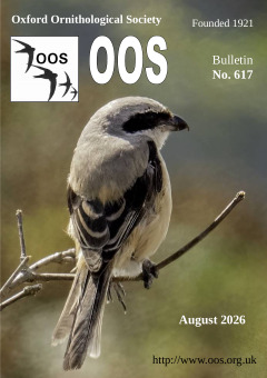 August 2026 cover